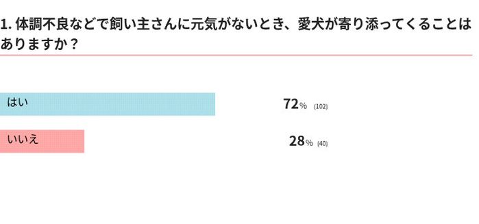 愛犬はあなたに寄り添ってくれますか?