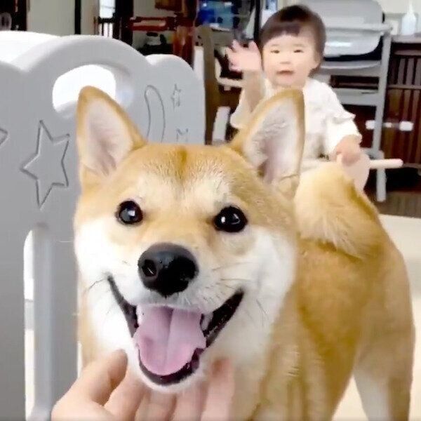 笑顔を見せるりんご郎くん