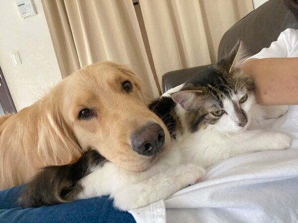 密着するまるくんとさんちゃん