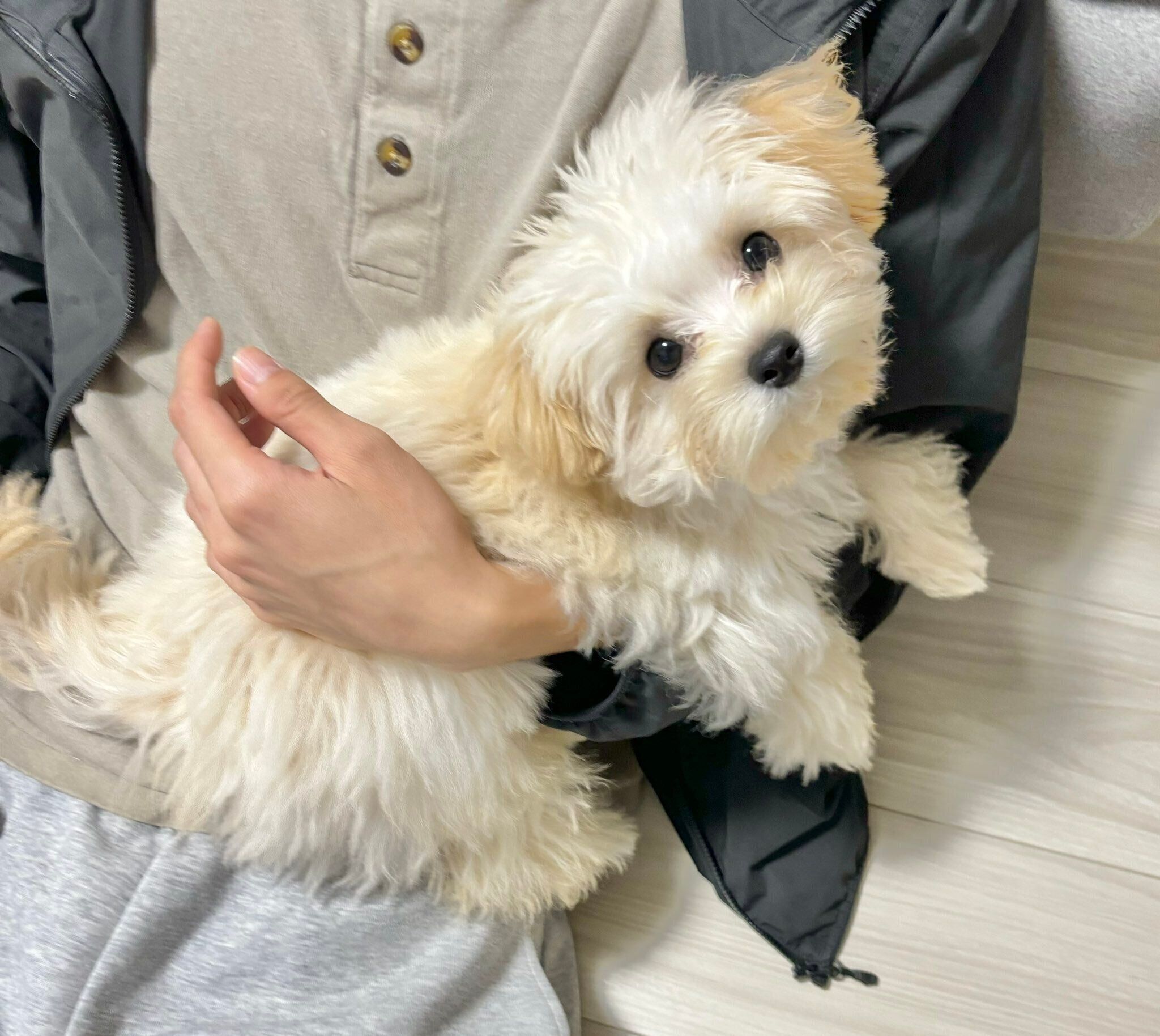 生後5カ月になったぽてとくん。