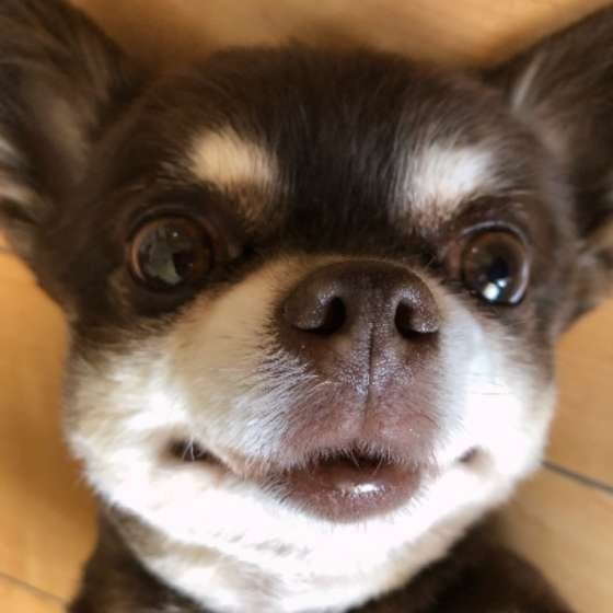 びっくりの表情!