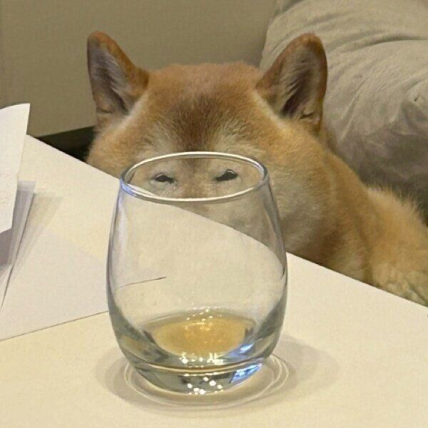 光の屈折で目が小さく見えるぽてとくん