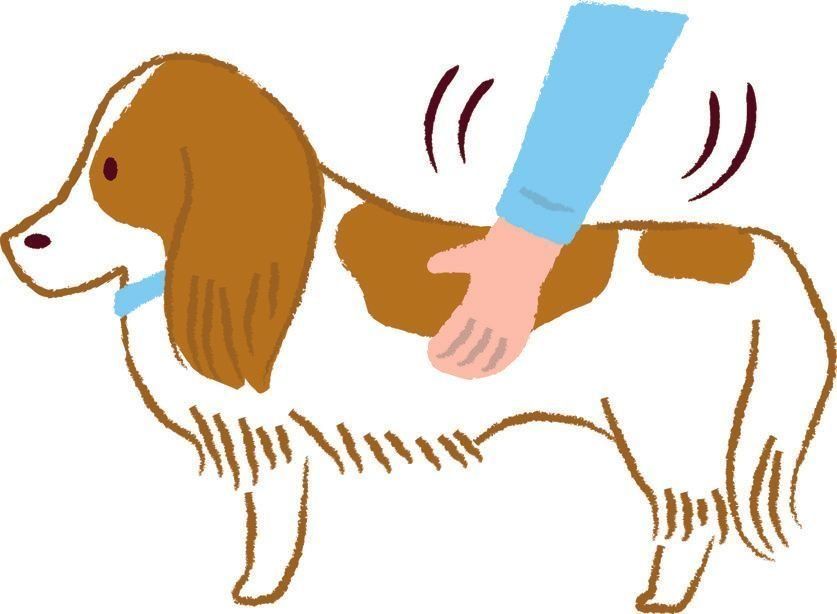 イラスト／石山綾子