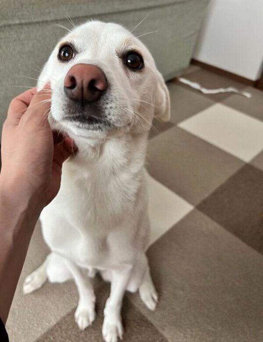 甘えるこうめちゃん