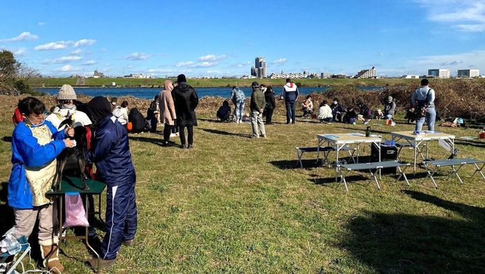 保護犬の譲渡会イベント