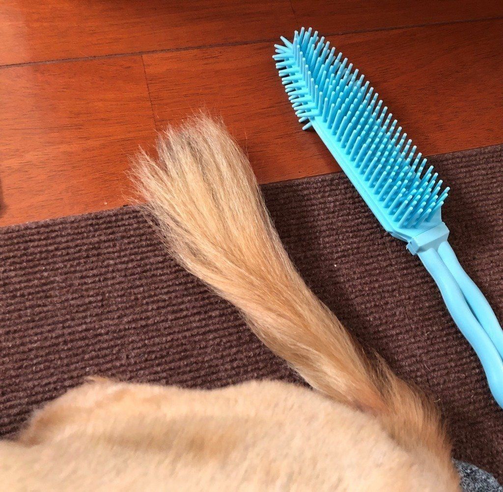 サラサラの毛並みに！