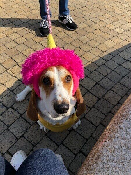 鬼の被り物をつけているバセ子