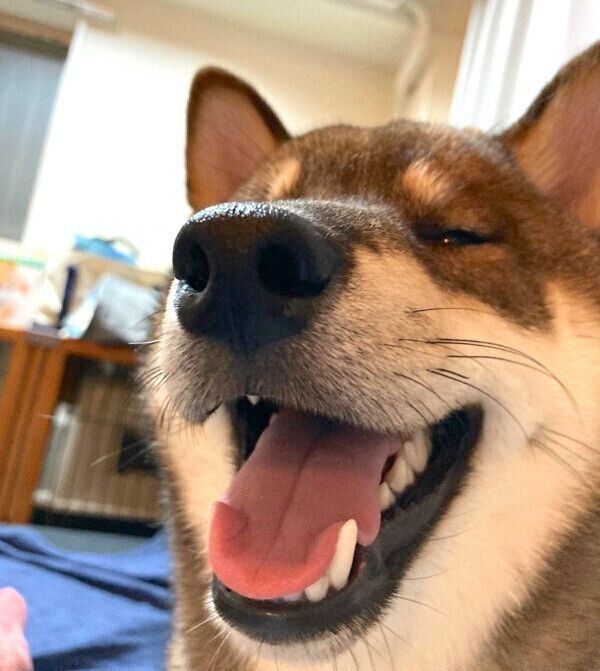 ニコニコ笑顔の与一くん