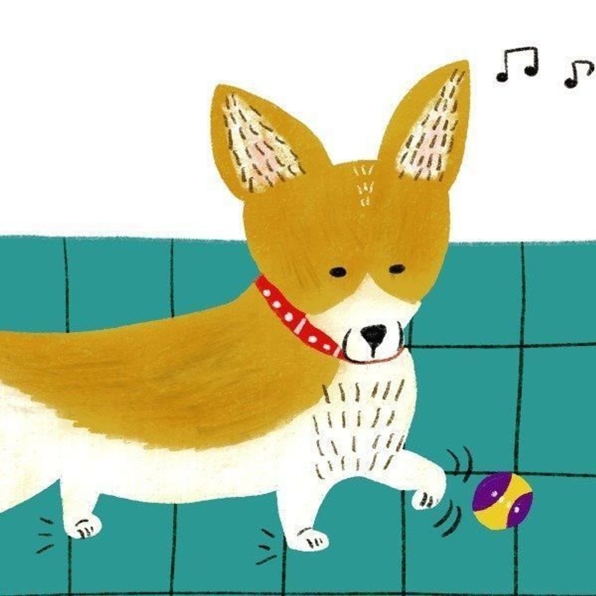 成長途中だからこそ気をつけたい若い犬の足腰の病気 予防法も いぬのきもちweb Magazine 成長途中だからこそ気をつけたい若い犬の足腰の病気 予防法も いぬのきもちweb Magazine