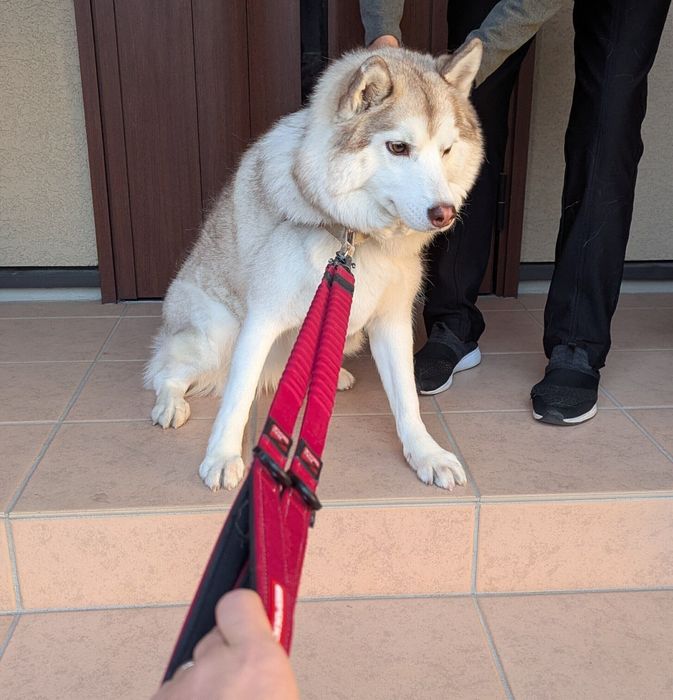 「ばーばから離れたくない」