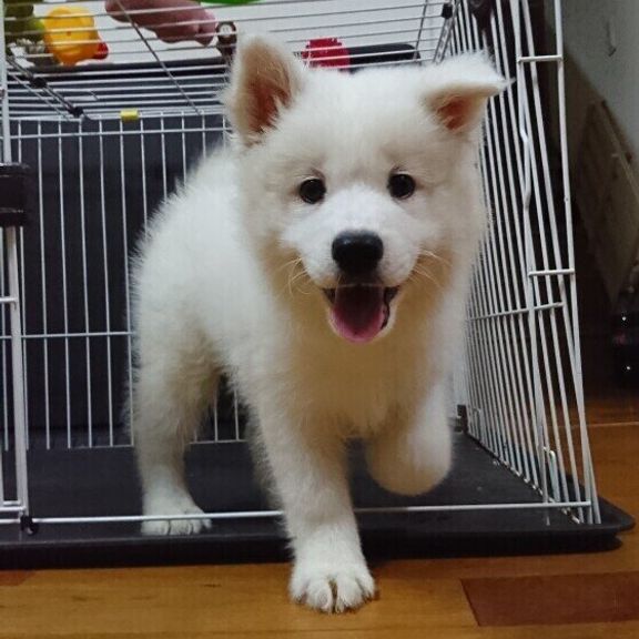 ミィちゃん