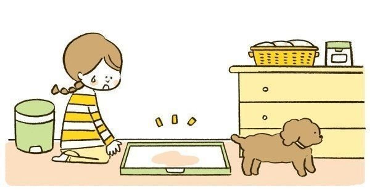 濃いオシッコが続いています 病気でしょうか こちら いぬのきもち獣医師相談室です いぬのきもちweb Magazine 濃いオシッコが続いています 病気でしょうか こちら いぬのきもち獣医師相談室です いぬのきもちweb Magazine