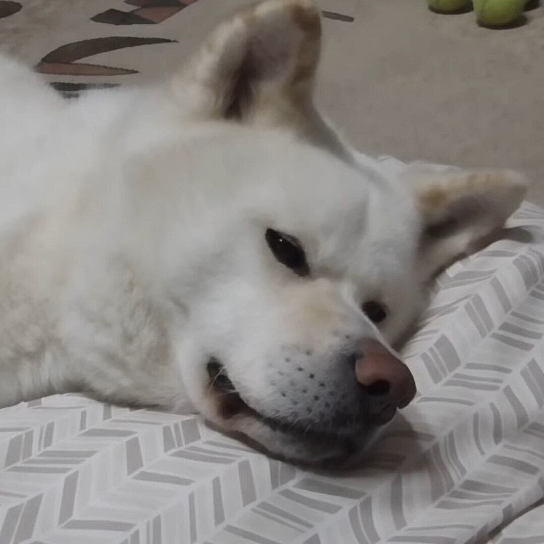 リラックスしているゆうき君