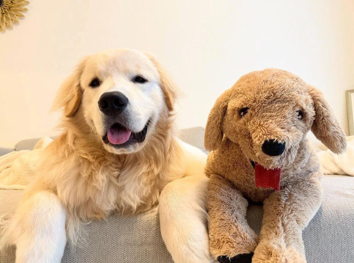 生後9カ月のころに撮影したぴのくん