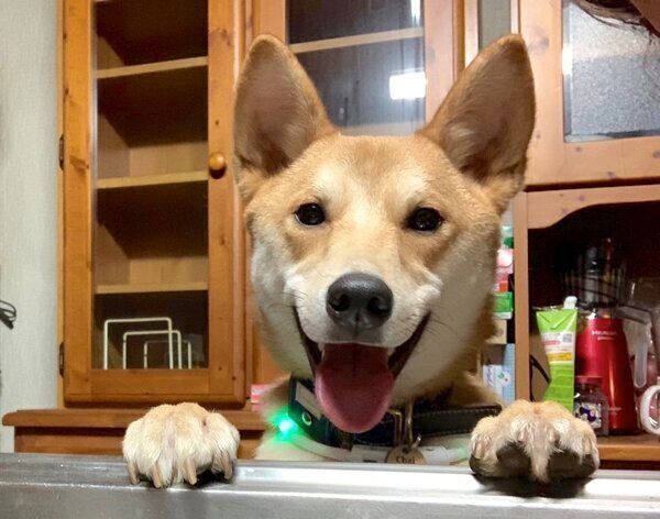 笑顔のチャイくん