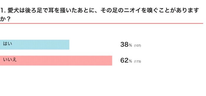 愛犬は後ろ足で耳を掻いたあとに、その足のニオイを嗅ぐことがある?