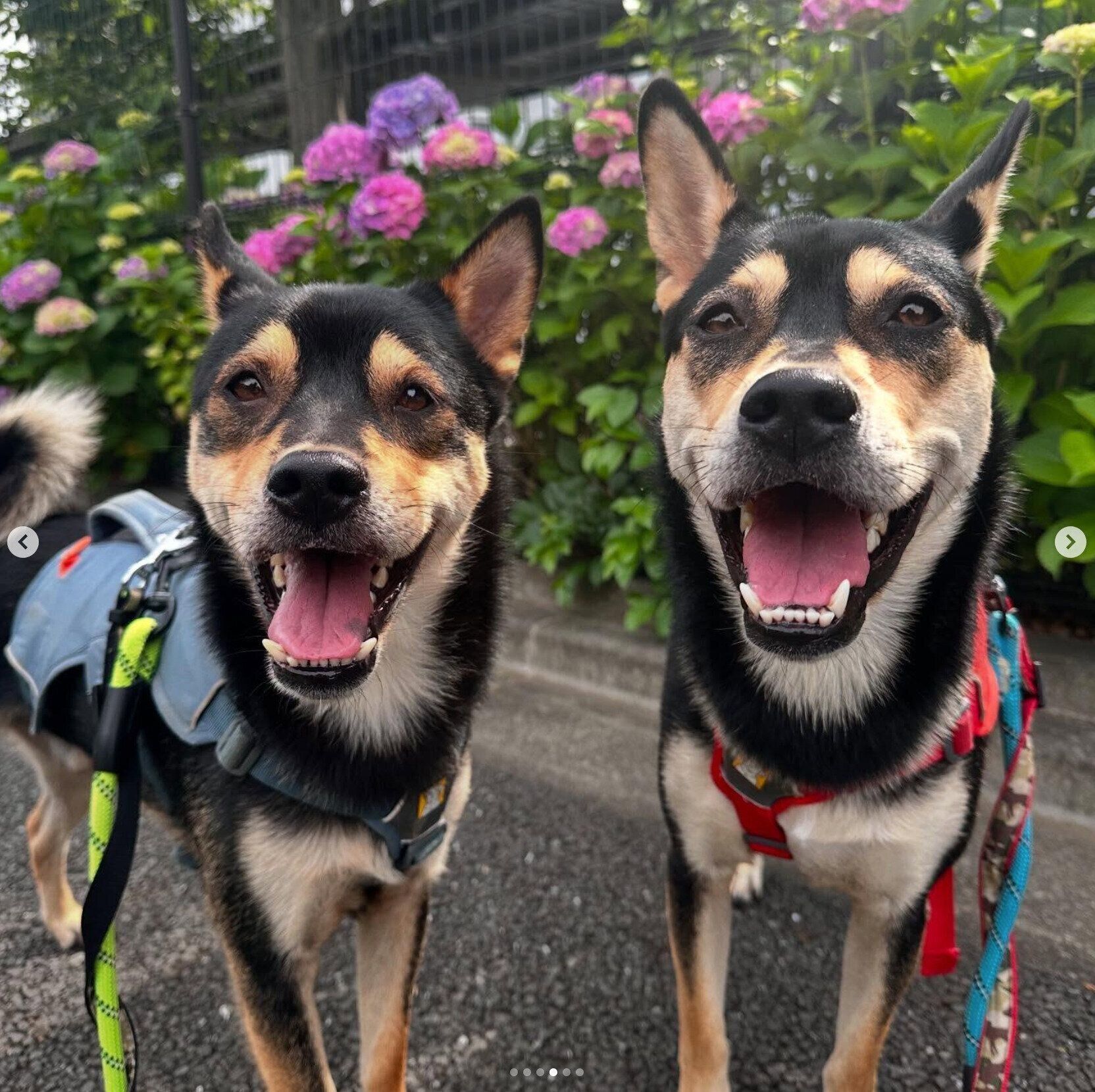 ななちゃんといぶきくん