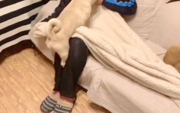 パパさんのお膝を待ち構えるラルくん