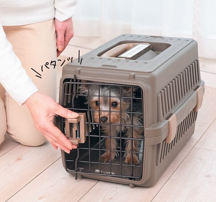 クレートの扉を閉められる犬