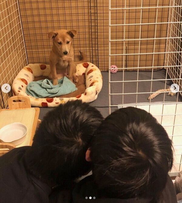 さくらちゃんを見守る、長男くんと次男くん