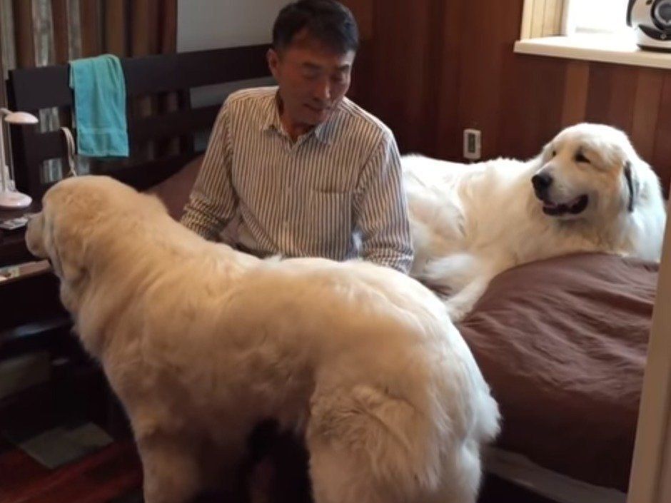 お父さんをサンドイッチ