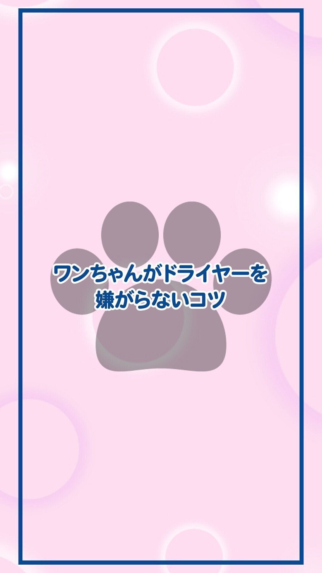 ワンちゃんがドライヤーを嫌がらないコツ