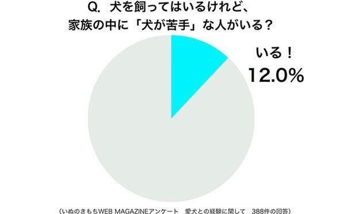 犬を飼っているけど 家族の中に 犬が苦手 な人がいる家庭の割合は いぬのきもちweb Magazine 犬を飼っているけど 家族の中に 犬が苦手 な人がいる家庭の割合は いぬのきもちweb Magazine