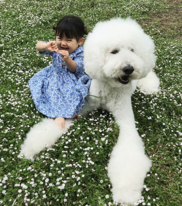 女の子にゼンマイを巻かれる犬