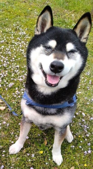 現在14才。大きく成長しました!