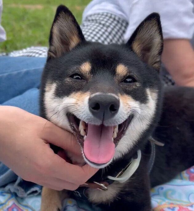 笑顔が可愛いごまちゃん