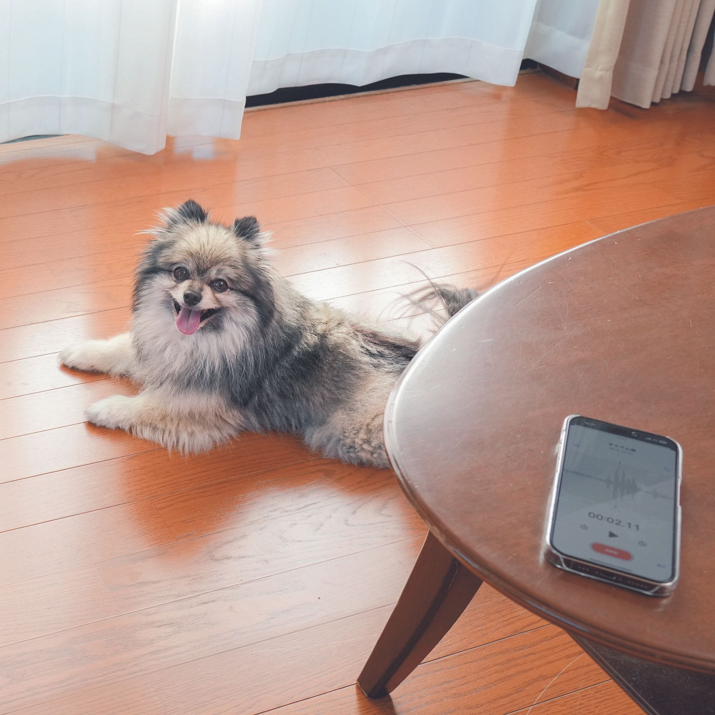 撮影／殿村忠博