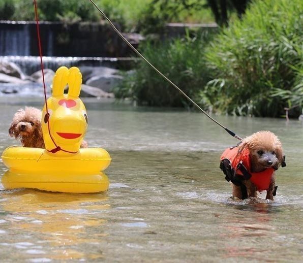 尾白川リゾートキャンプ場