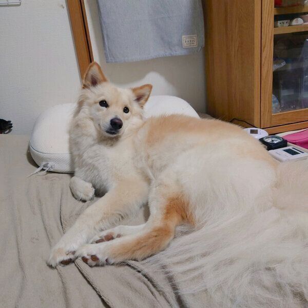 くつろぐつるちゃん