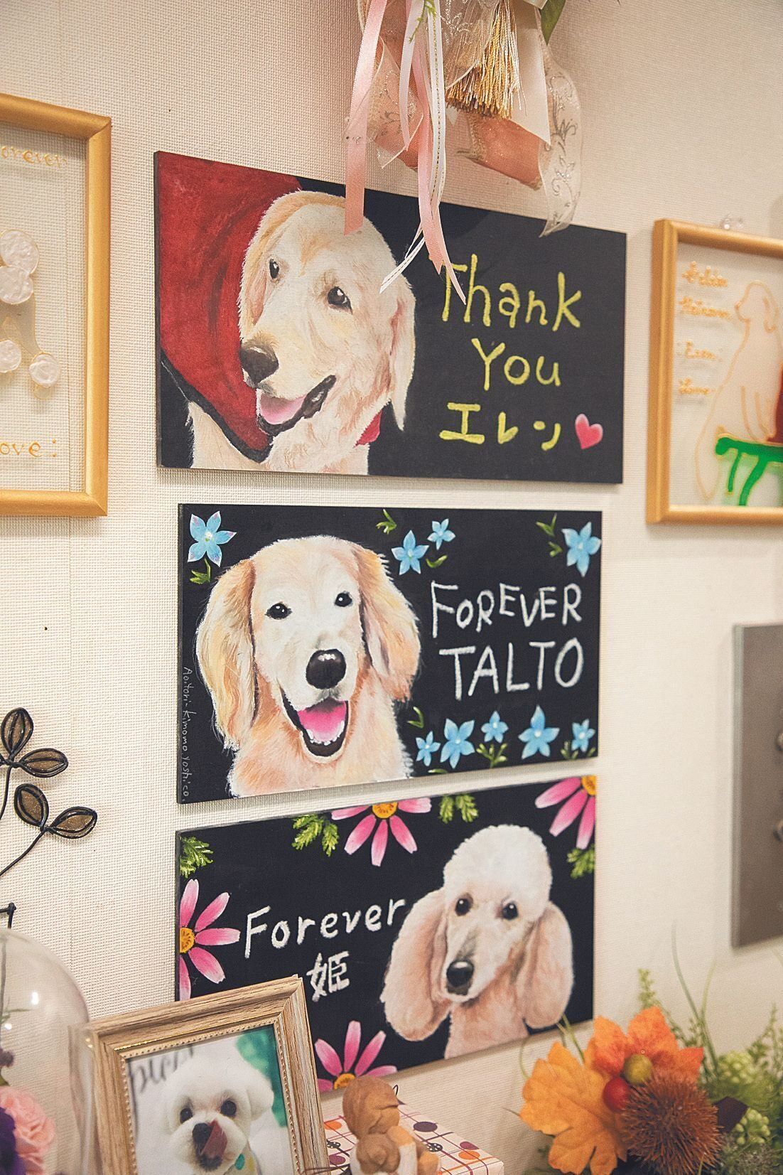 今まで浅川さんが看取りをした中で、思い出に残る犬たちの絵がシェルター内に掲げられています