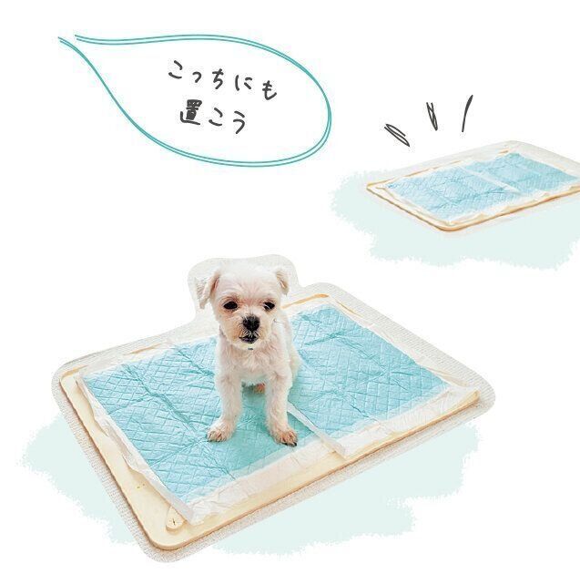 撮影／佐藤正之