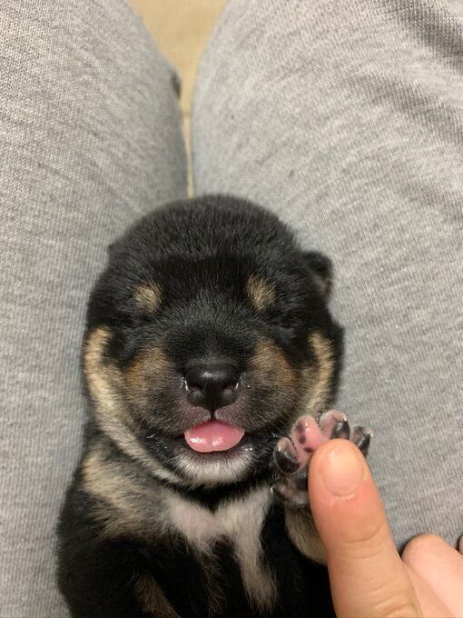 奏（えと）ちゃん