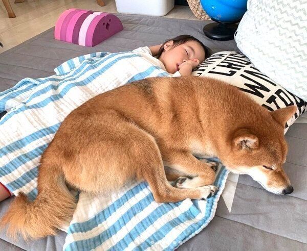 まったりするモモ子ちゃんと花子ちゃん