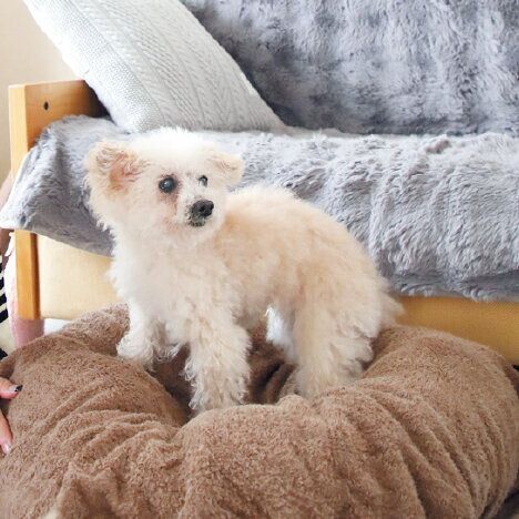 撮影／尾﨑たまき