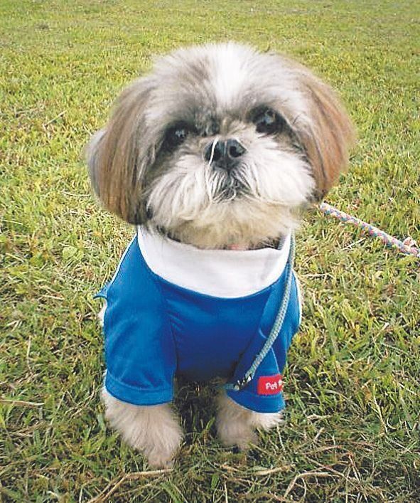 写真提供／O.M.さん