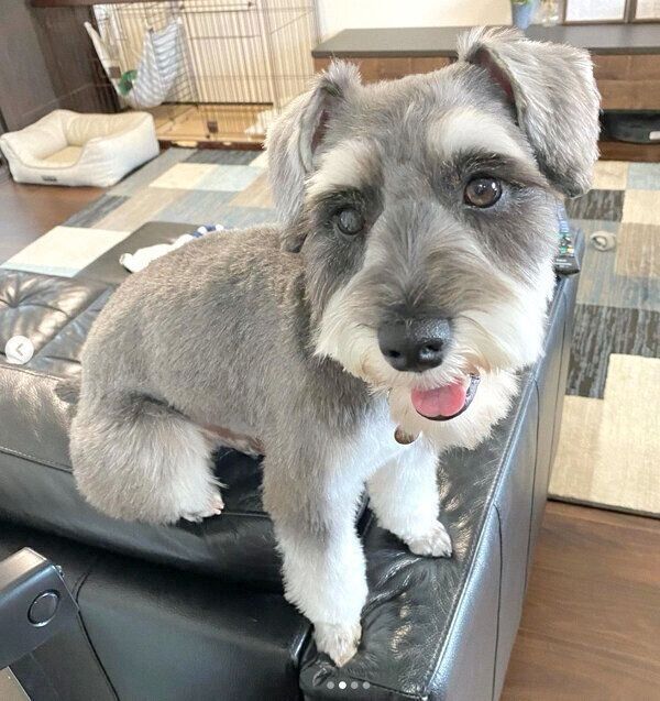 笑顔のエルモくん