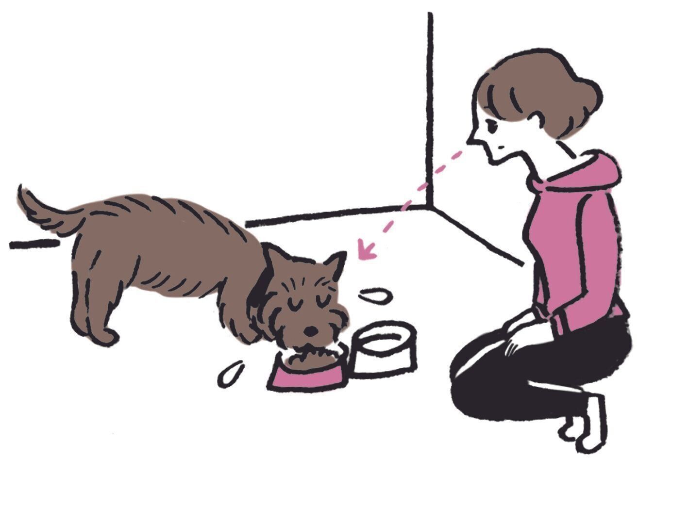 イラスト／オガワナホ