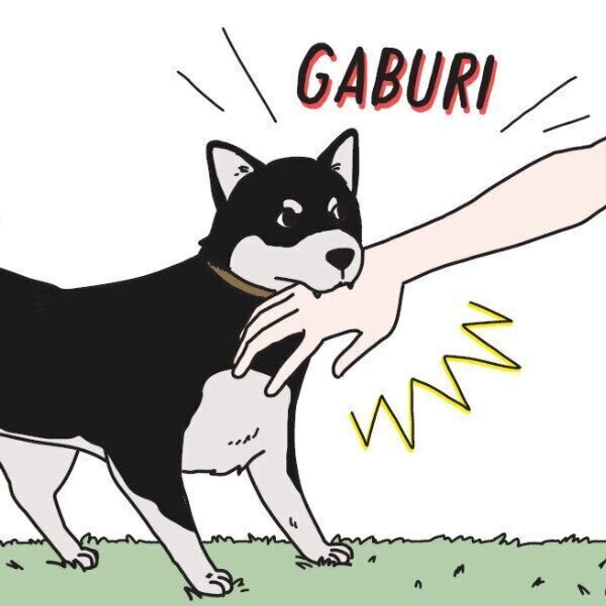 弁護士が教えます 愛犬の事故 ケガ 病気 お金のトラブル どう解決する いぬのきもちweb Magazine 弁護士が教えます 愛犬の事故 ケガ 病気 お金のトラブル どう解決する いぬのきもちweb Magazine