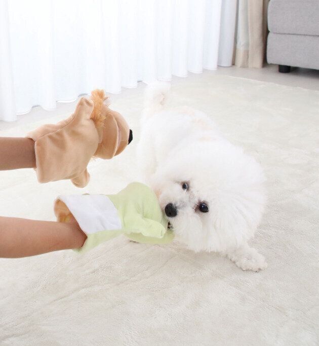 撮影／尾﨑たまき