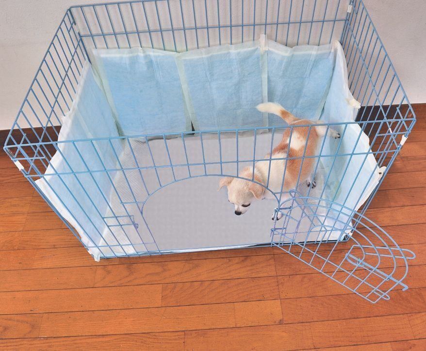 撮影／佐藤正之