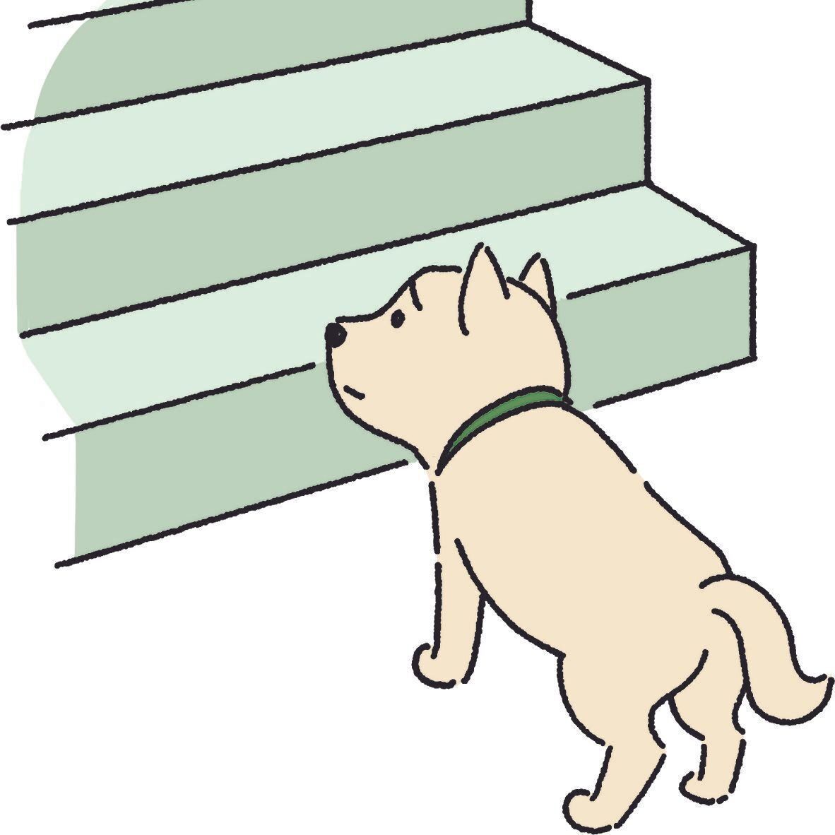 イラスト／haradaRica