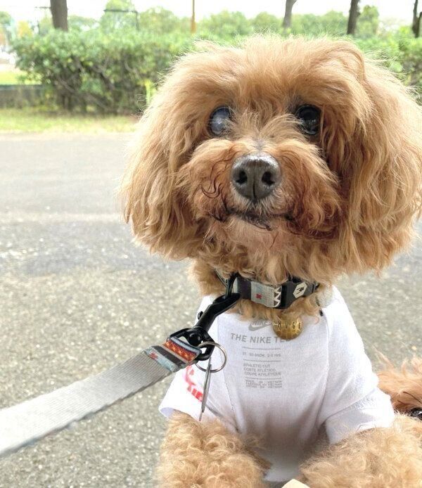 シャキッとするむぎちゃん