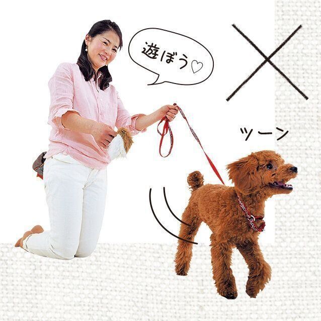 撮影／佐藤正之