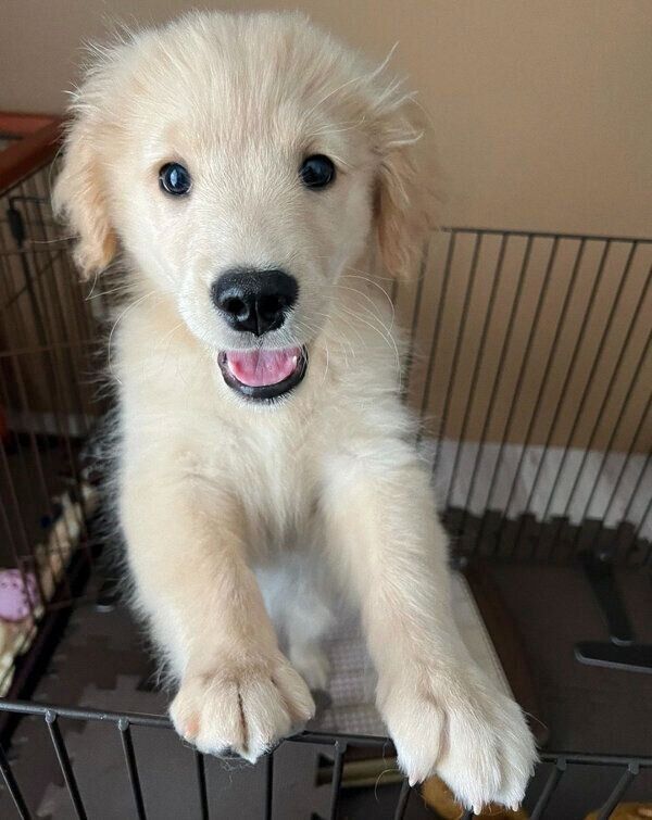 やんちゃそうな顔をするそらくん