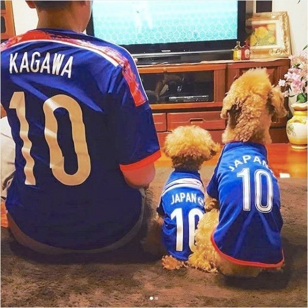 サッカー応援ワンコ