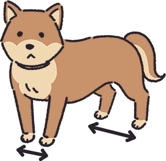 犬のかわいいポーズ もしかしたら病気のサインかも 要注意な 姿勢 をチェックしよう いぬのきもちweb Magazine